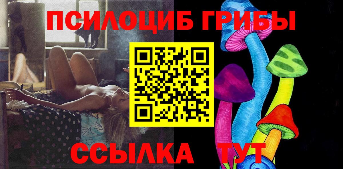 Псилоцибиновые грибы GOLDEN TEACHER Калуга