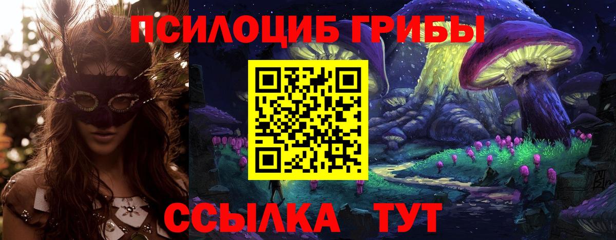 Псилоцибиновые грибы MAGIC MUSHROOMS  Вход с VPN  Калуга  Псилоцибиновые грибы Magic Shrooms 